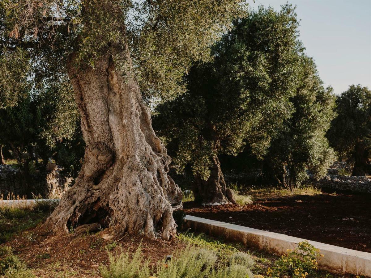 Masseria Dagilupi ออสตูนี ภายนอก รูปภาพ